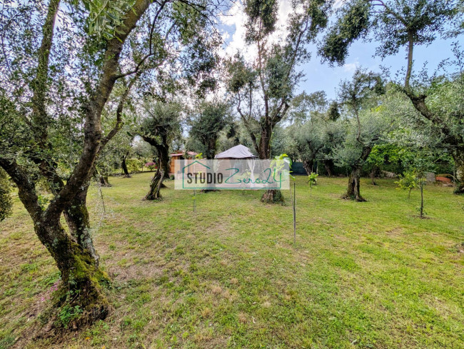 Rustic for sale in Seravezza