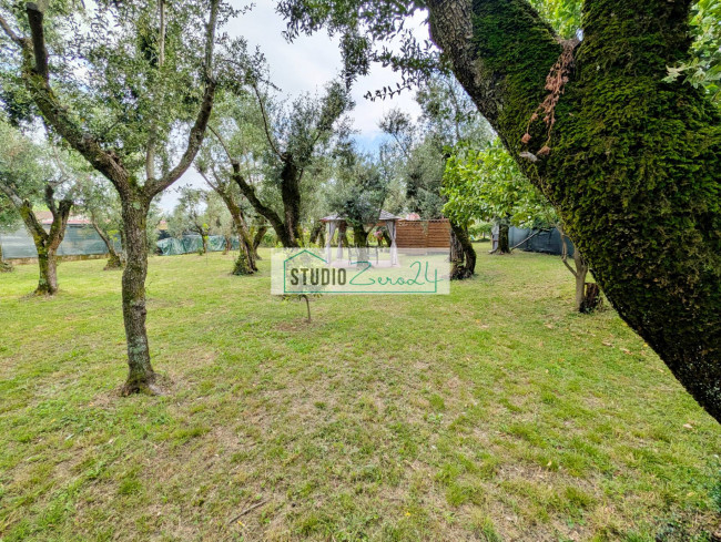 Rustic for sale in Seravezza