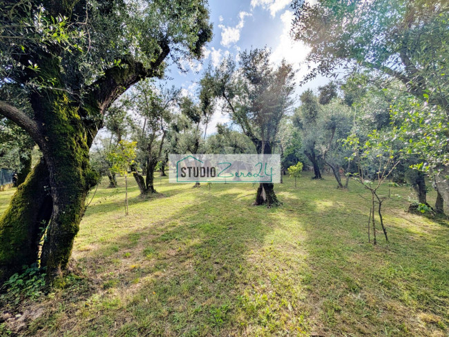 Rustic for sale in Seravezza