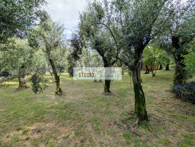 Rustic for sale in Seravezza