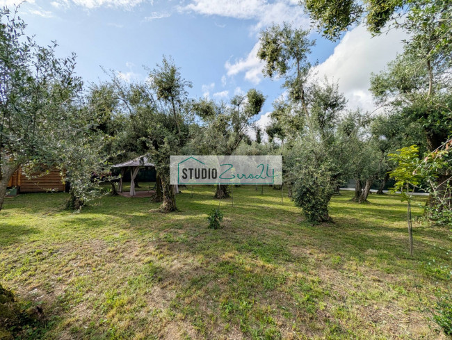 Rustic for sale in Seravezza