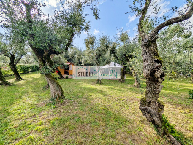Rustic for sale in Seravezza