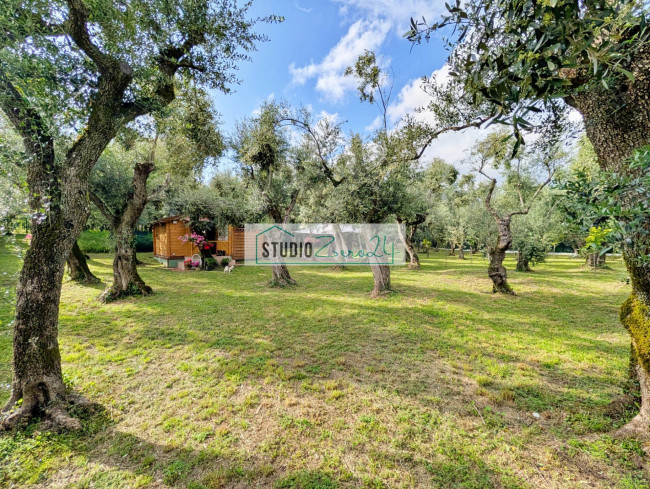 Rustic for sale in Seravezza