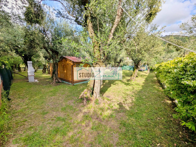 Rustic for sale in Seravezza