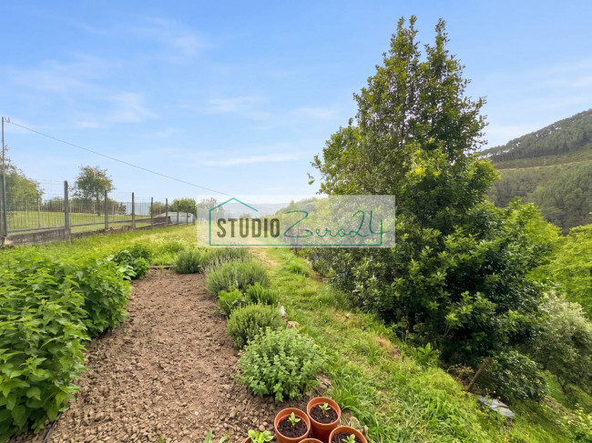 Single House for sale in Montignoso