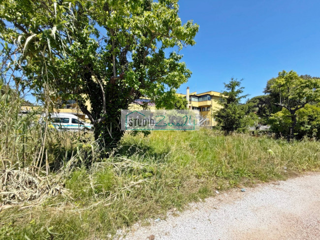 Agricultural Land for sale in Massarosa