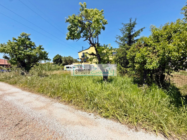 Agricultural Land for sale in Massarosa