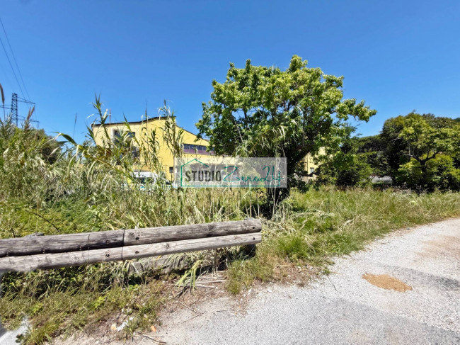 Agricultural Land for sale in Massarosa