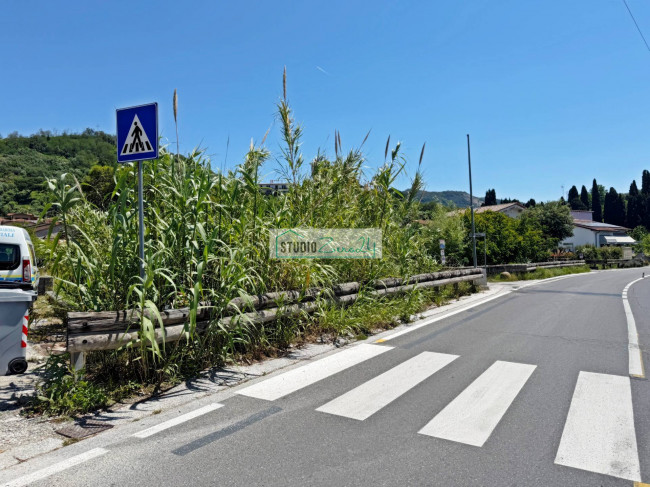 Agricultural Land for sale in Massarosa