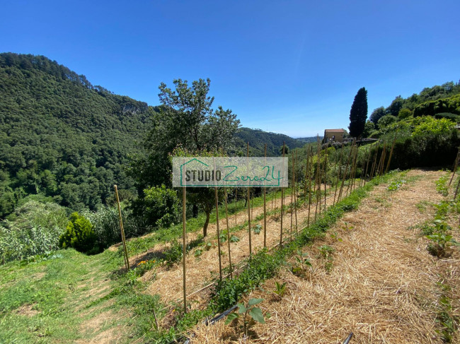 Casa singola in vendita a Camaiore