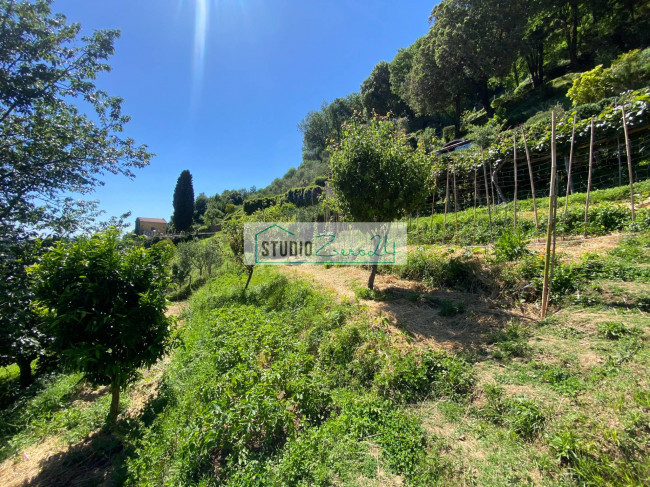 Casa singola in vendita a Camaiore