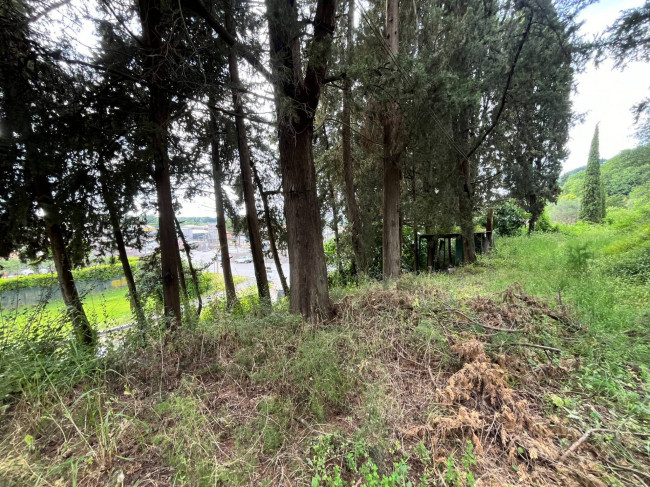 Rustic for sale in Massarosa