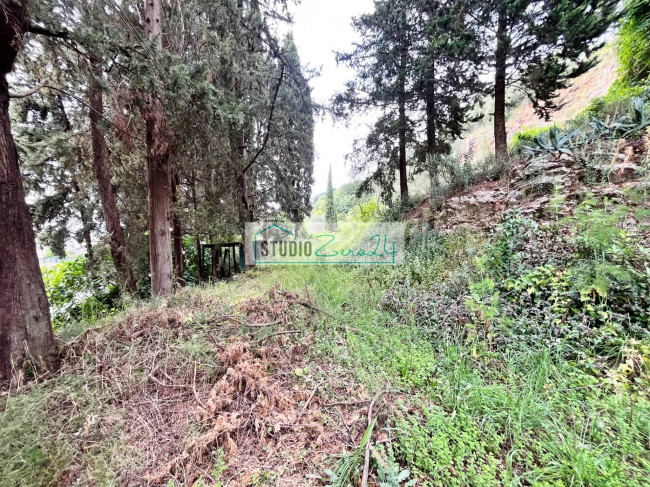 Rustic for sale in Massarosa