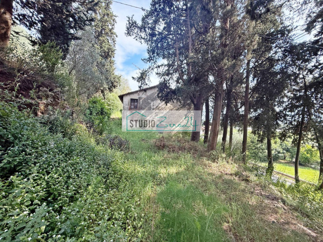 Rustic for sale in Massarosa