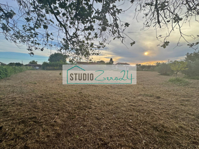 Terreno Agricolo in vendita a Massa