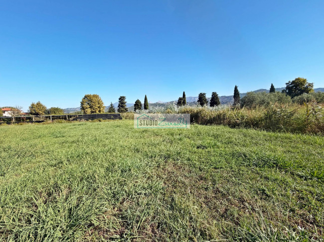 Terreno Agricolo in vendita a Massarosa