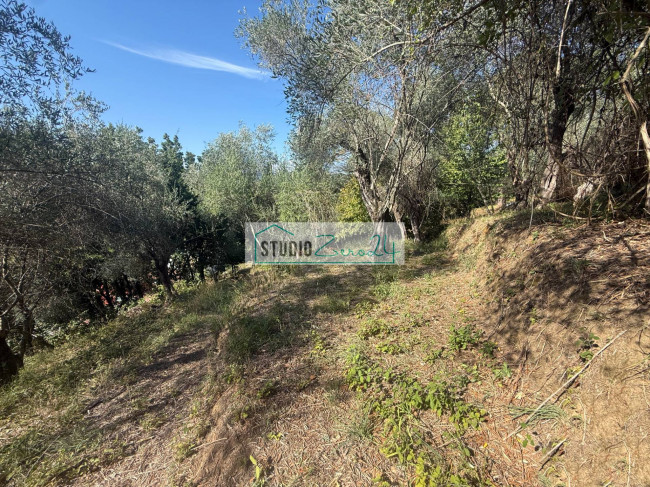 Terreno Agricolo in vendita a Massarosa