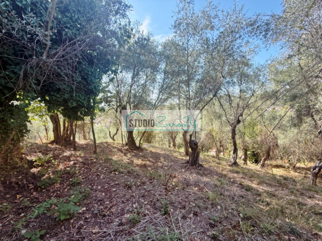 Terreno Agricolo in vendita a Massarosa