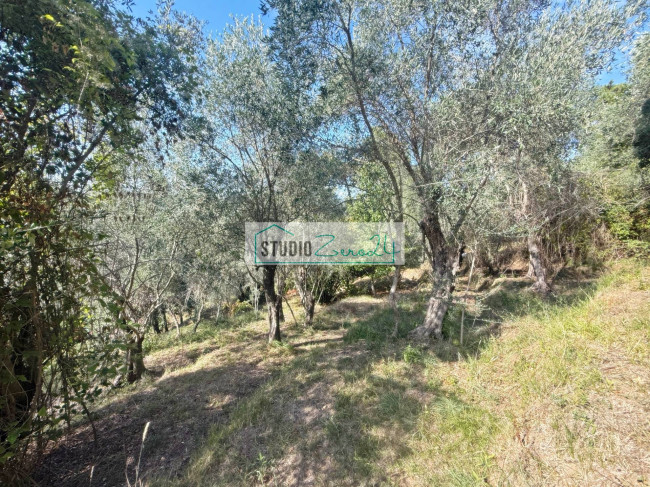 Terreno Agricolo in vendita a Massarosa