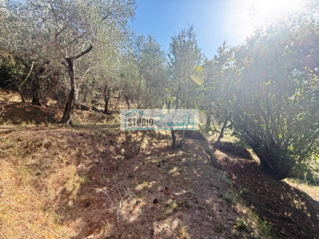 Terreno Agricolo in vendita a Massarosa