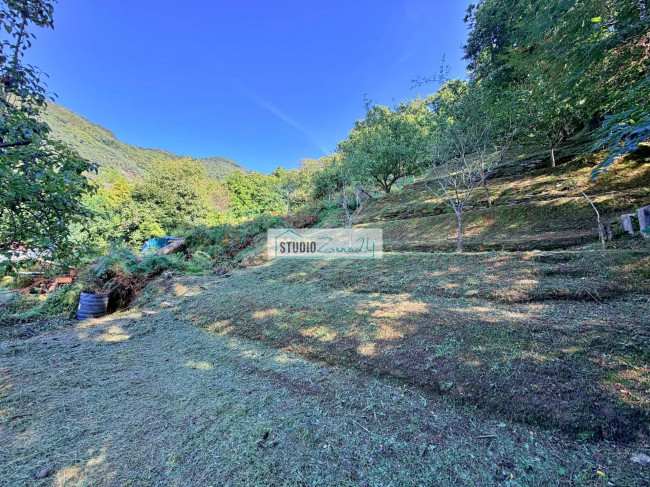 Single House for sale in Pietrasanta