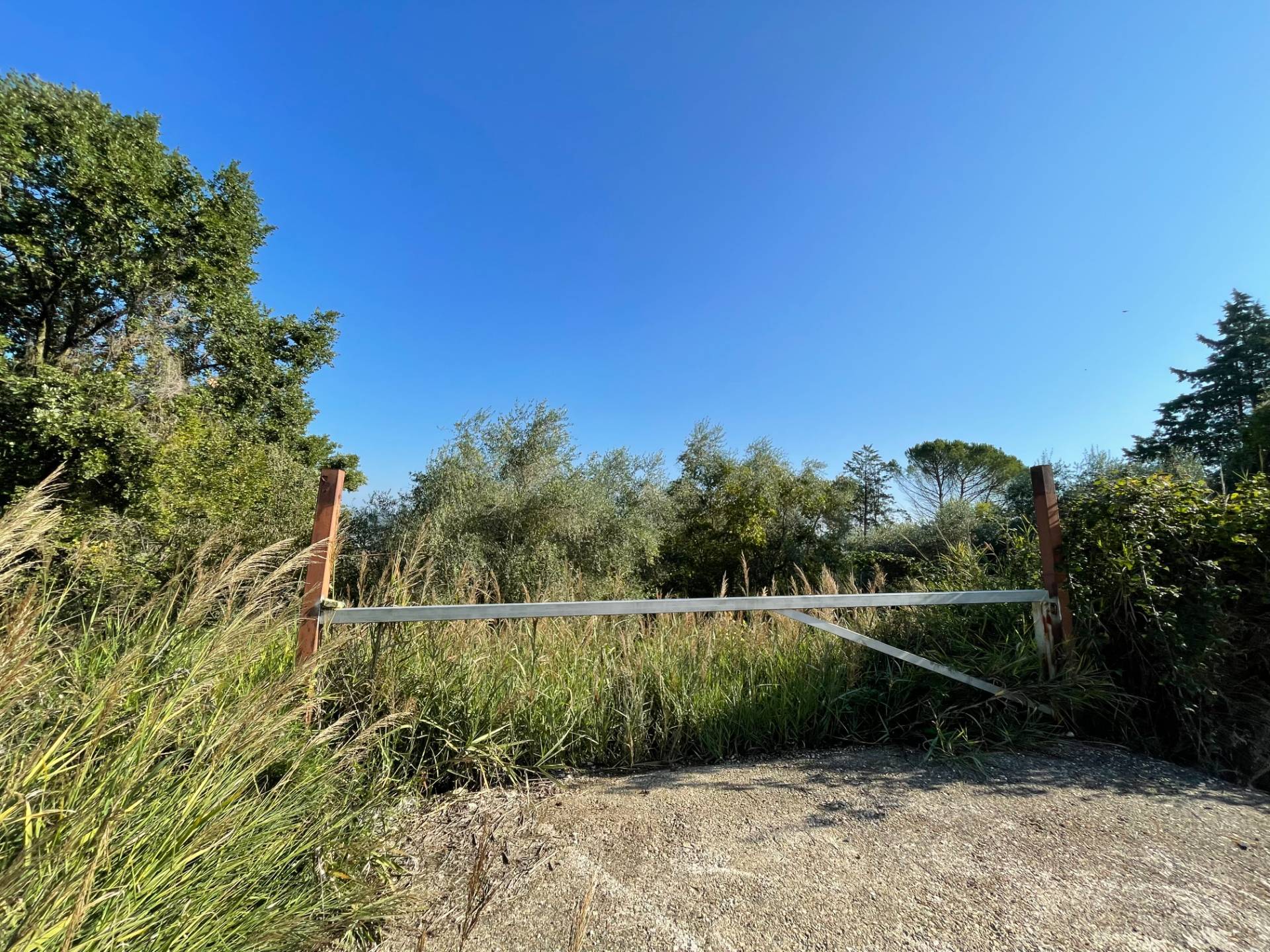Terreno Agricolo in vendita a Orte