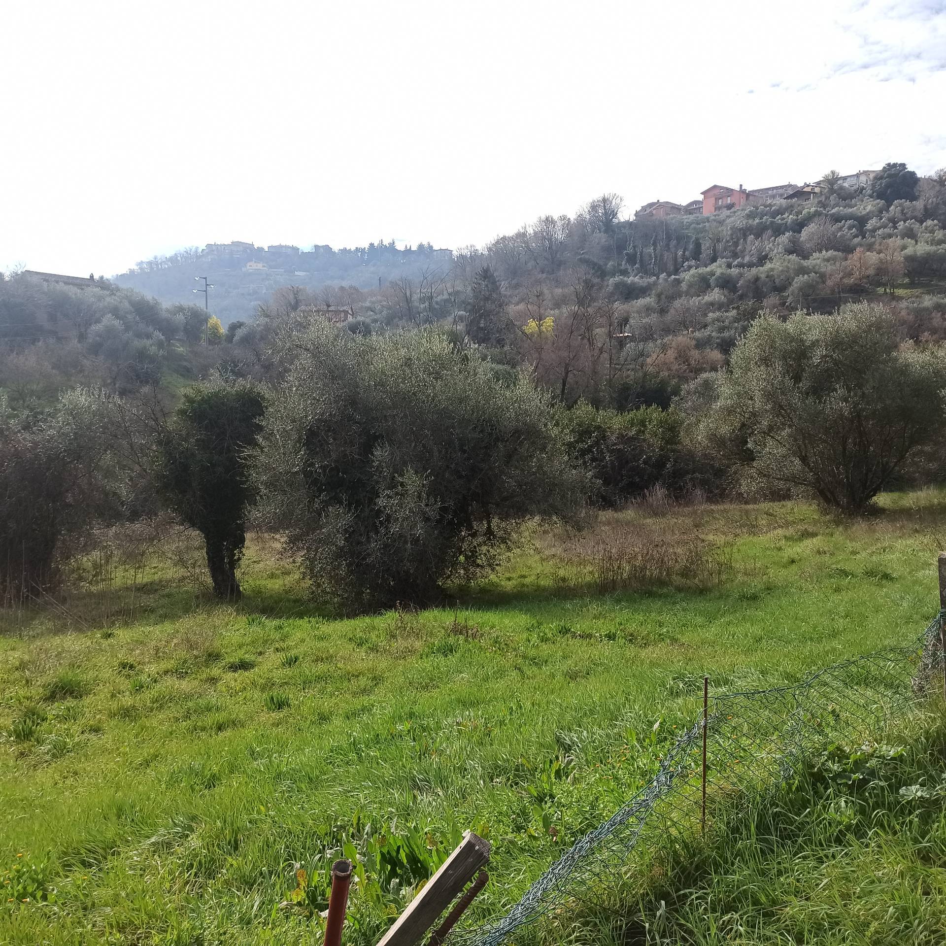 Terreno edificabile in vendita a Soriano nel Cimino