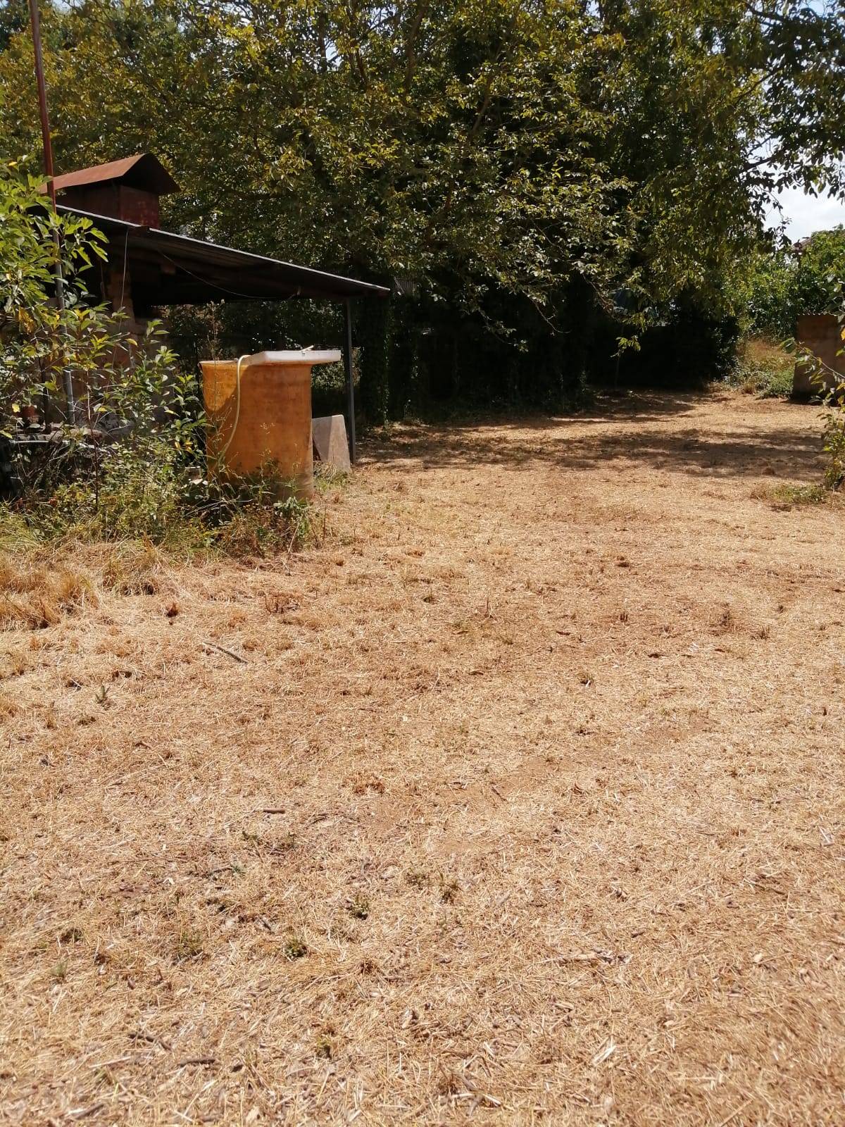 Terreno Agricolo in vendita a Vasanello