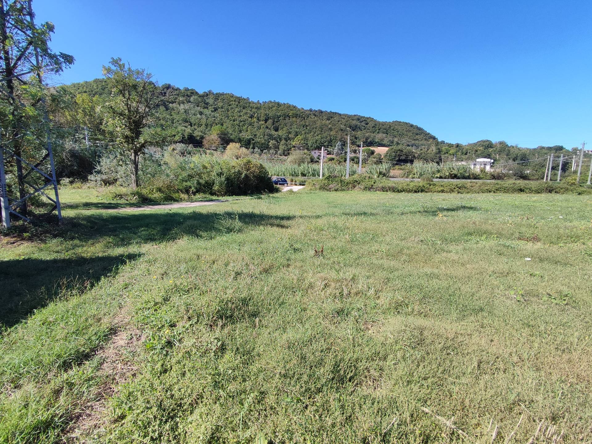 Terreno Agricolo in vendita a Orte