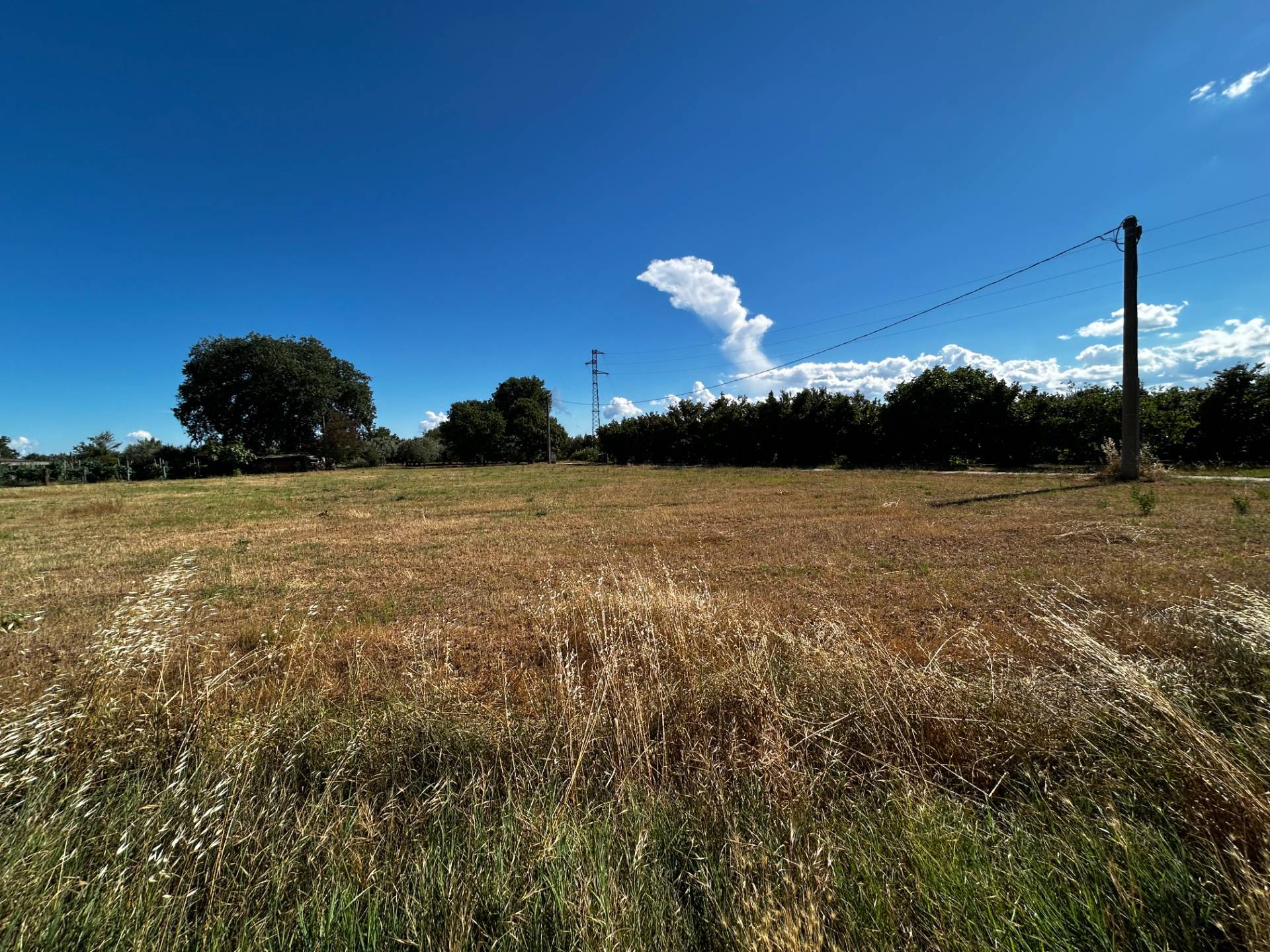 Terreno Agricolo in vendita a Vasanello
