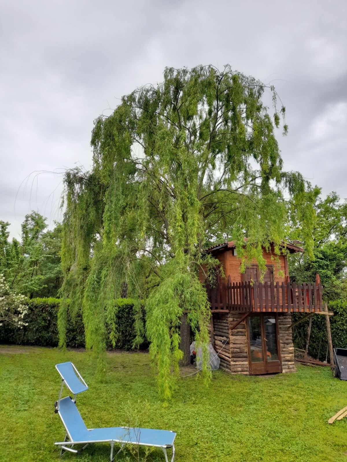 Casa singola in vendita a Vitorchiano