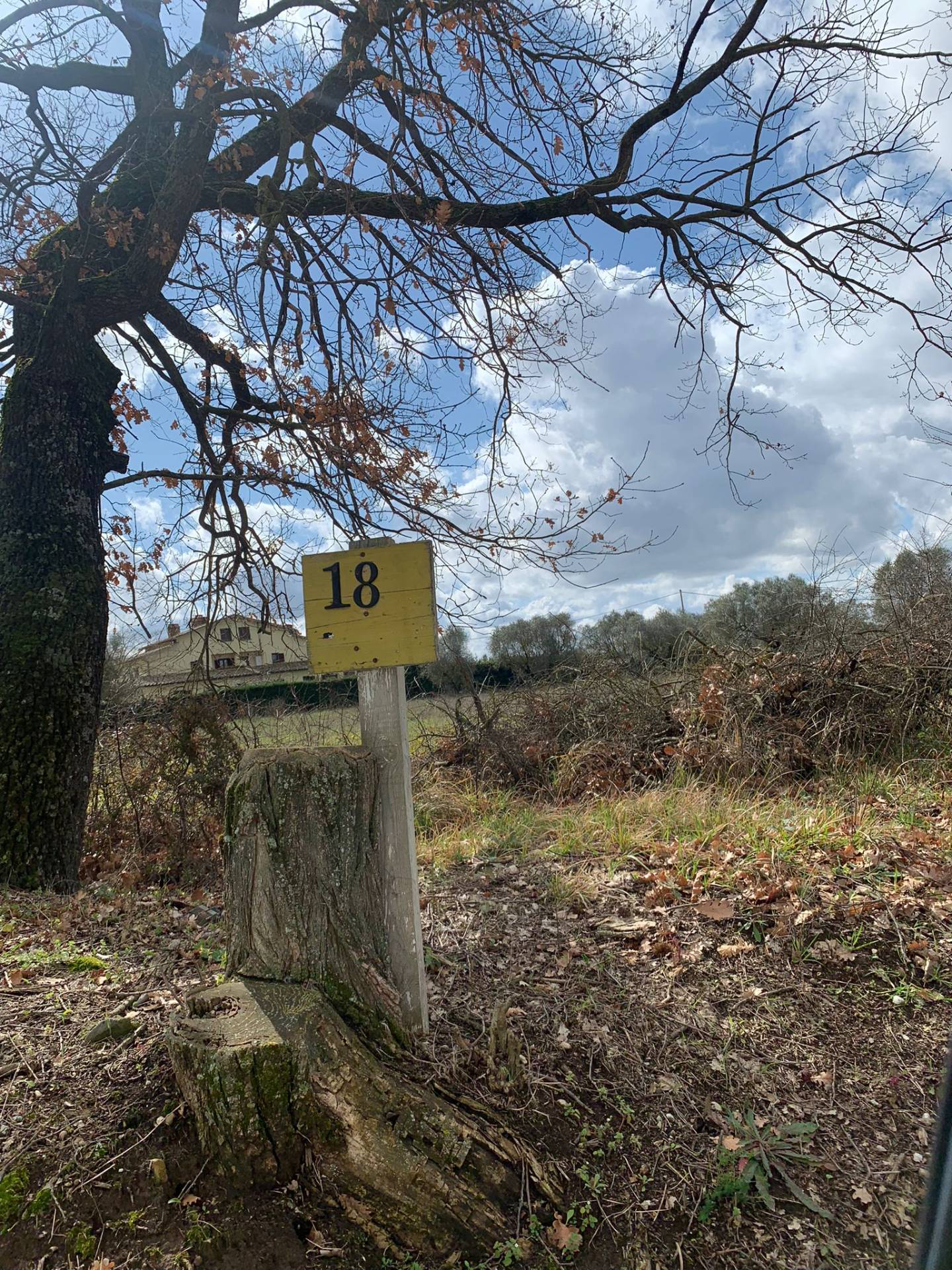 Terreno Agricolo in vendita a Vitorchiano