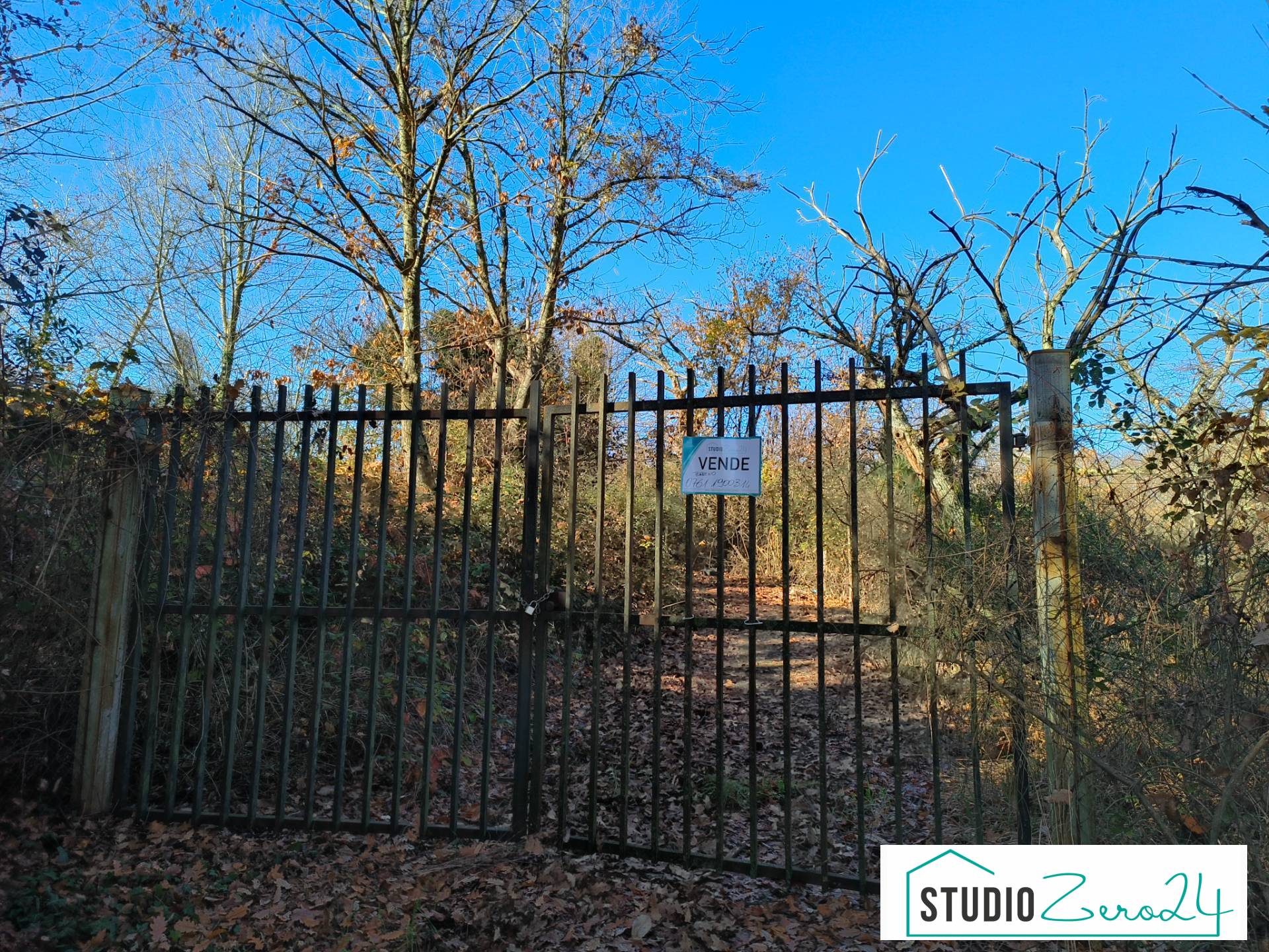 Altro in vendita a Vignanello