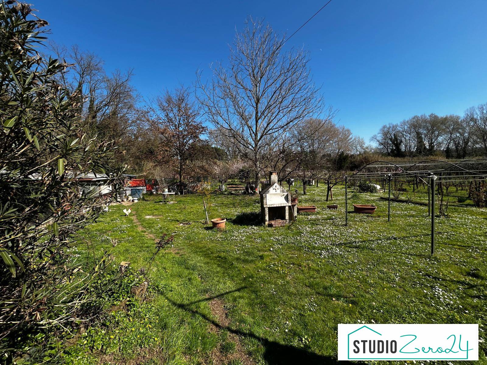 Terreno Agricolo in vendita a Orte