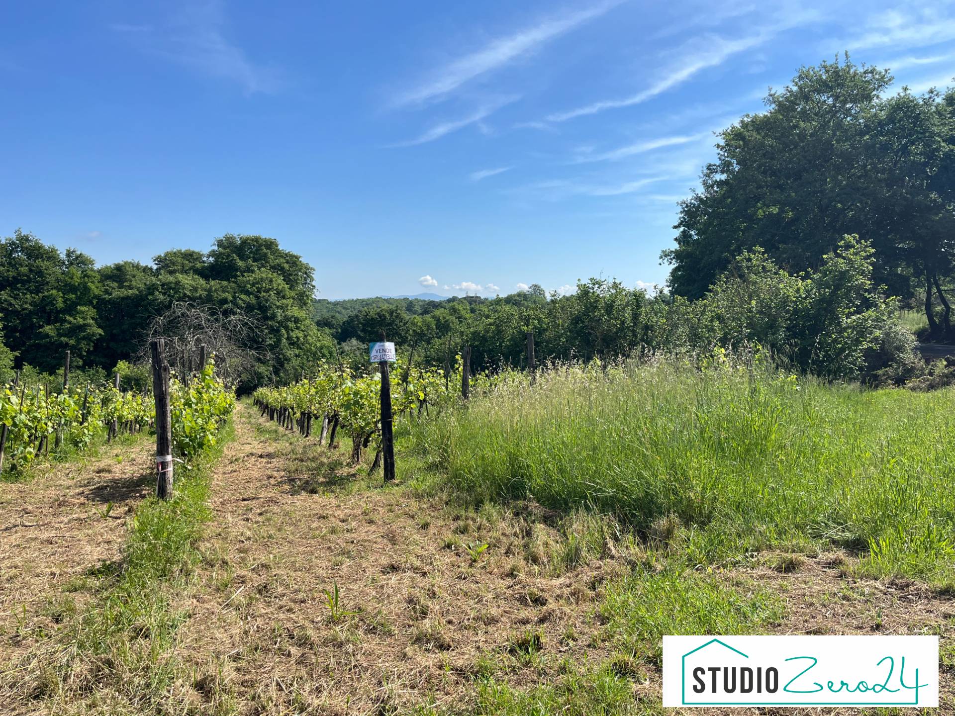 Terreno Agricolo in vendita a Bassano in Teverina