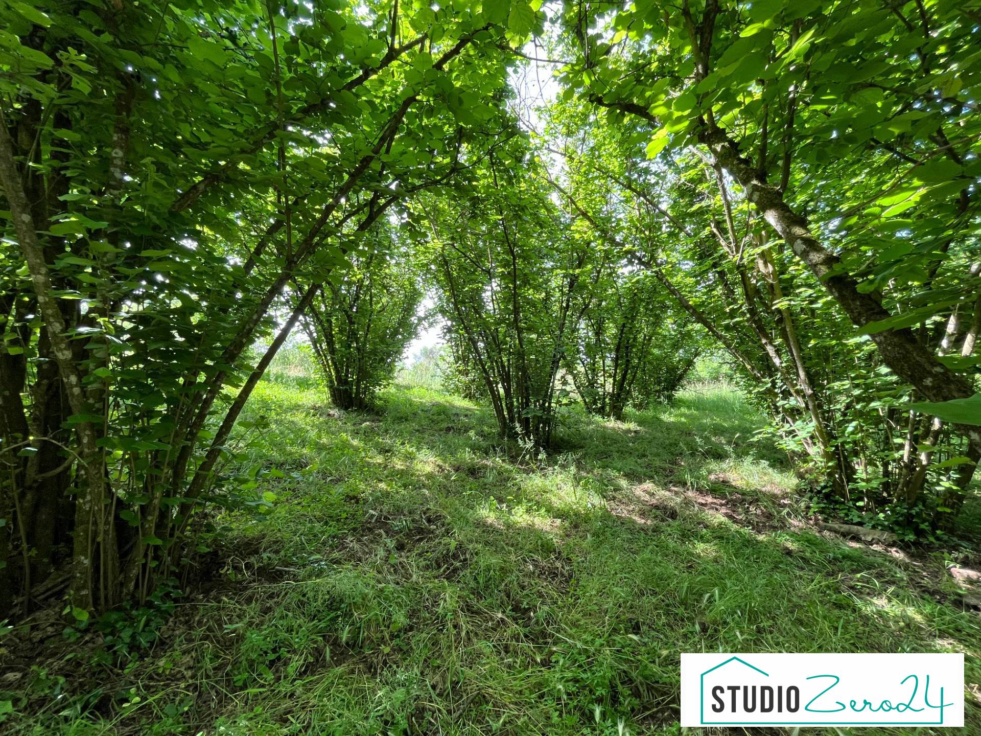 Terreno Agricolo in vendita a Bassano in Teverina