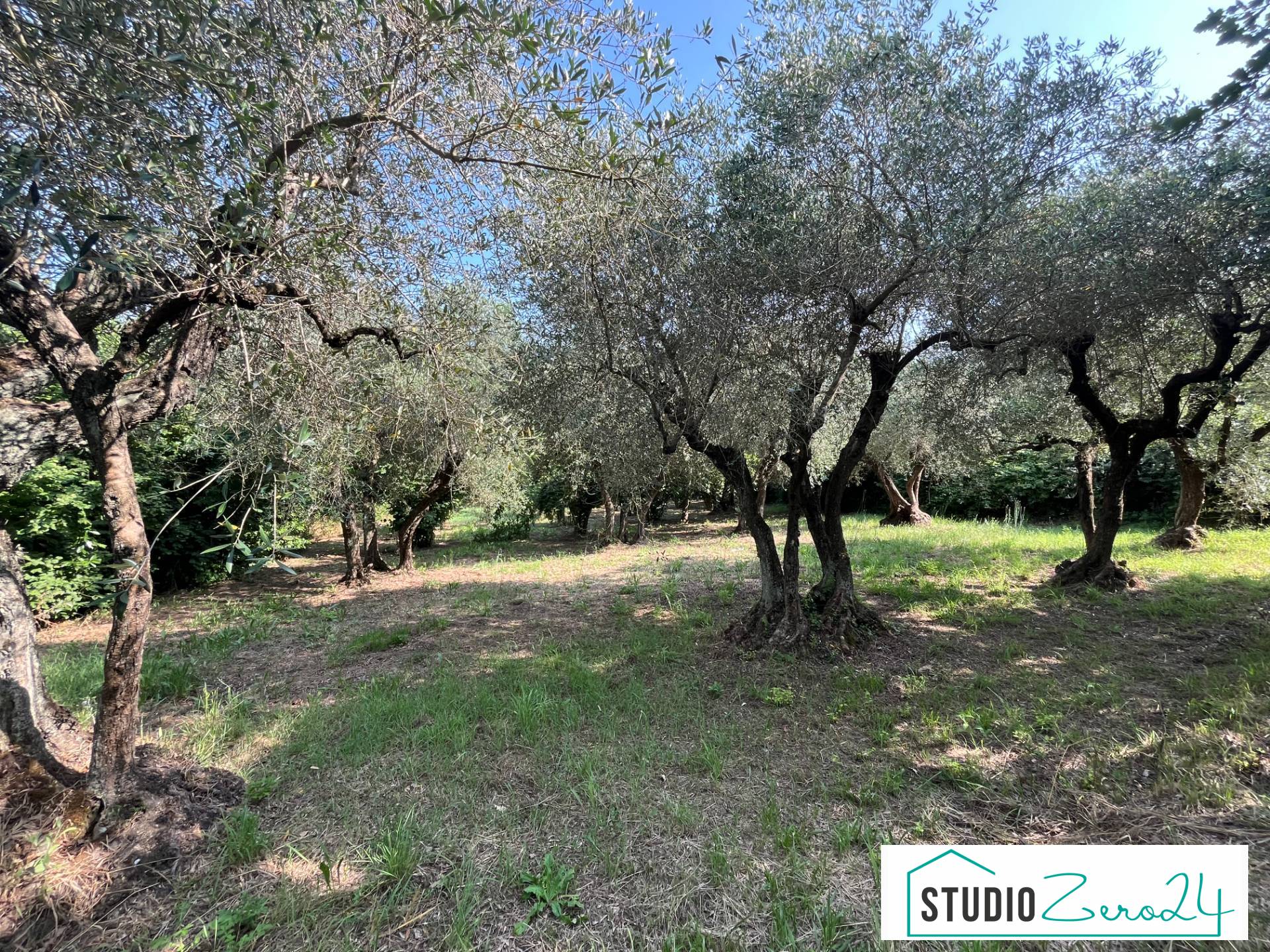 Terreno Agricolo in vendita a Bassano in Teverina