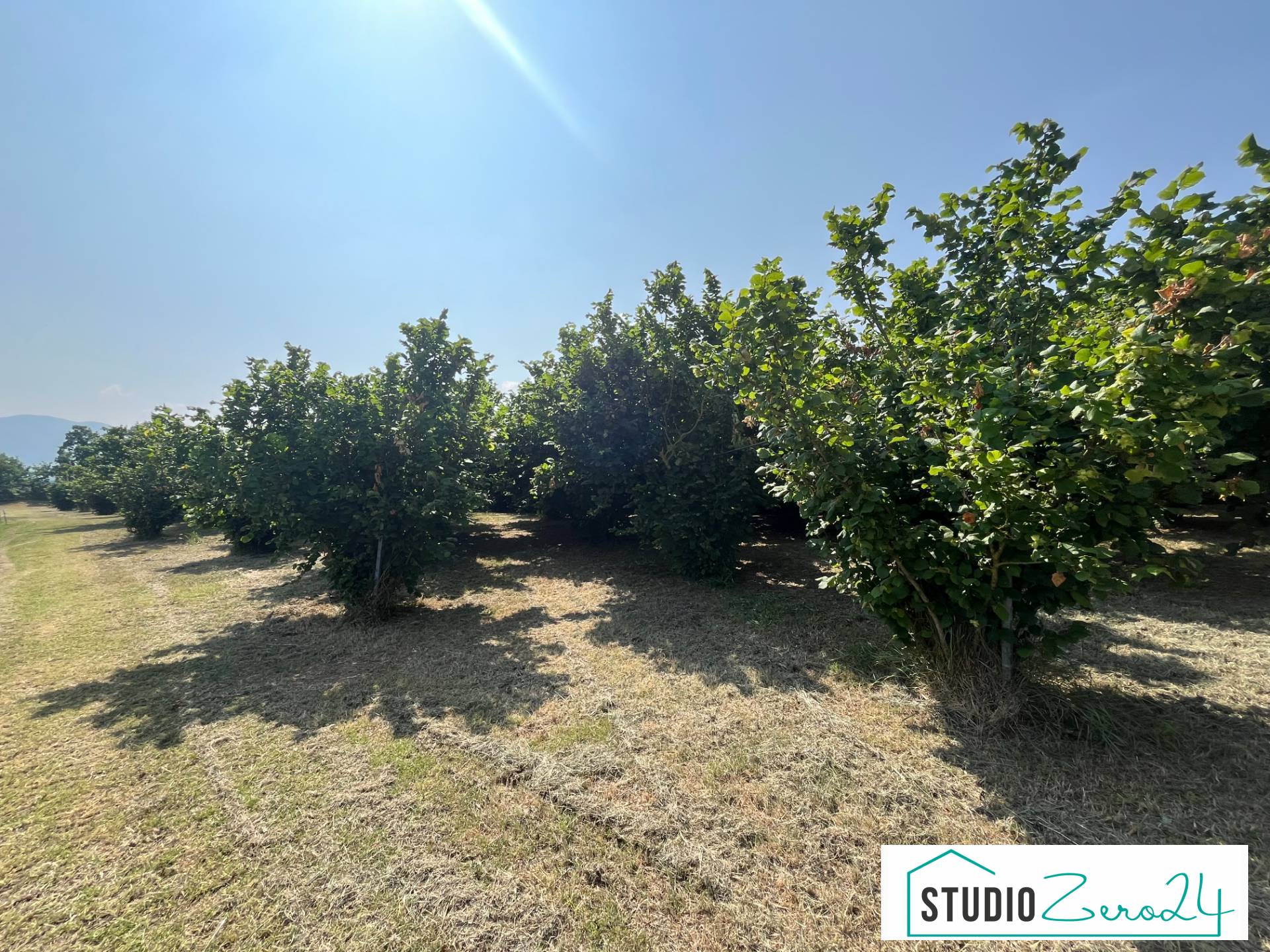Terreno Agricolo in vendita a Bassano in Teverina