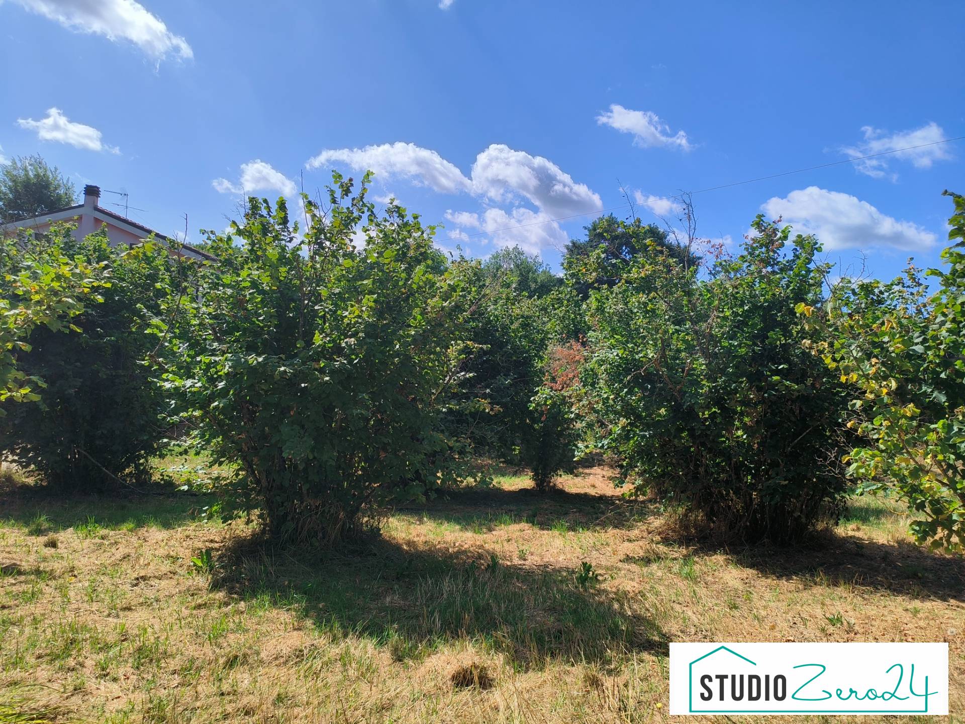 Terreno Agricolo in vendita a Soriano nel Cimino