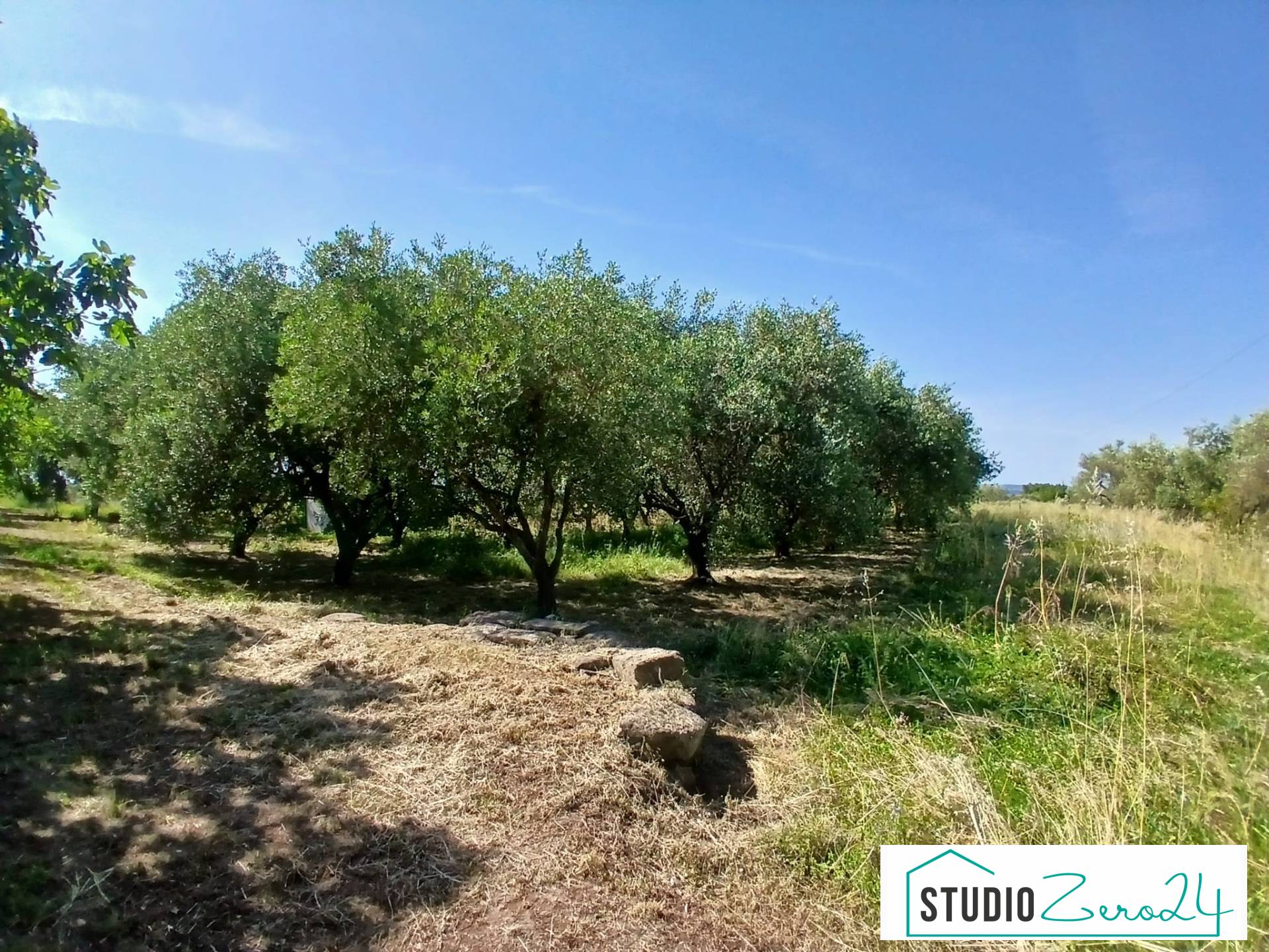 Terreno Agricolo in vendita a Vitorchiano