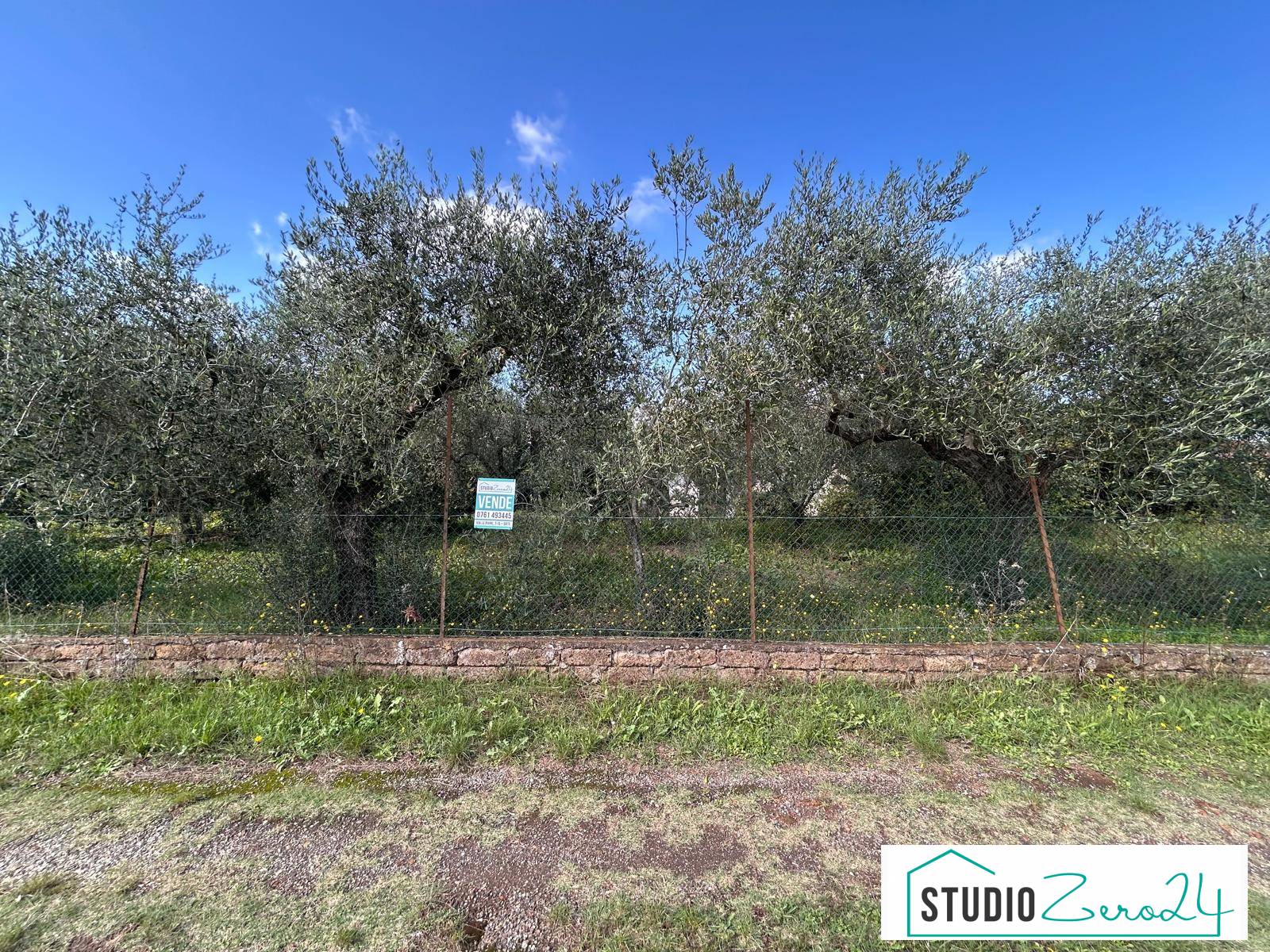 Terreno edificabile in vendita a Vasanello