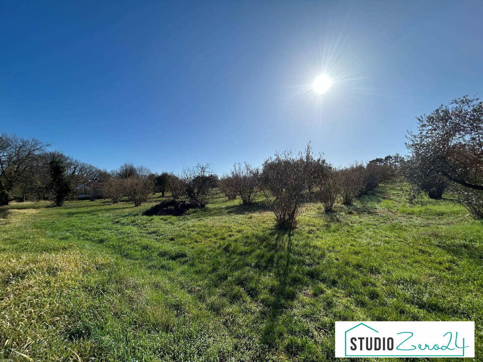 Terreno Agricolo in vendita a Vasanello