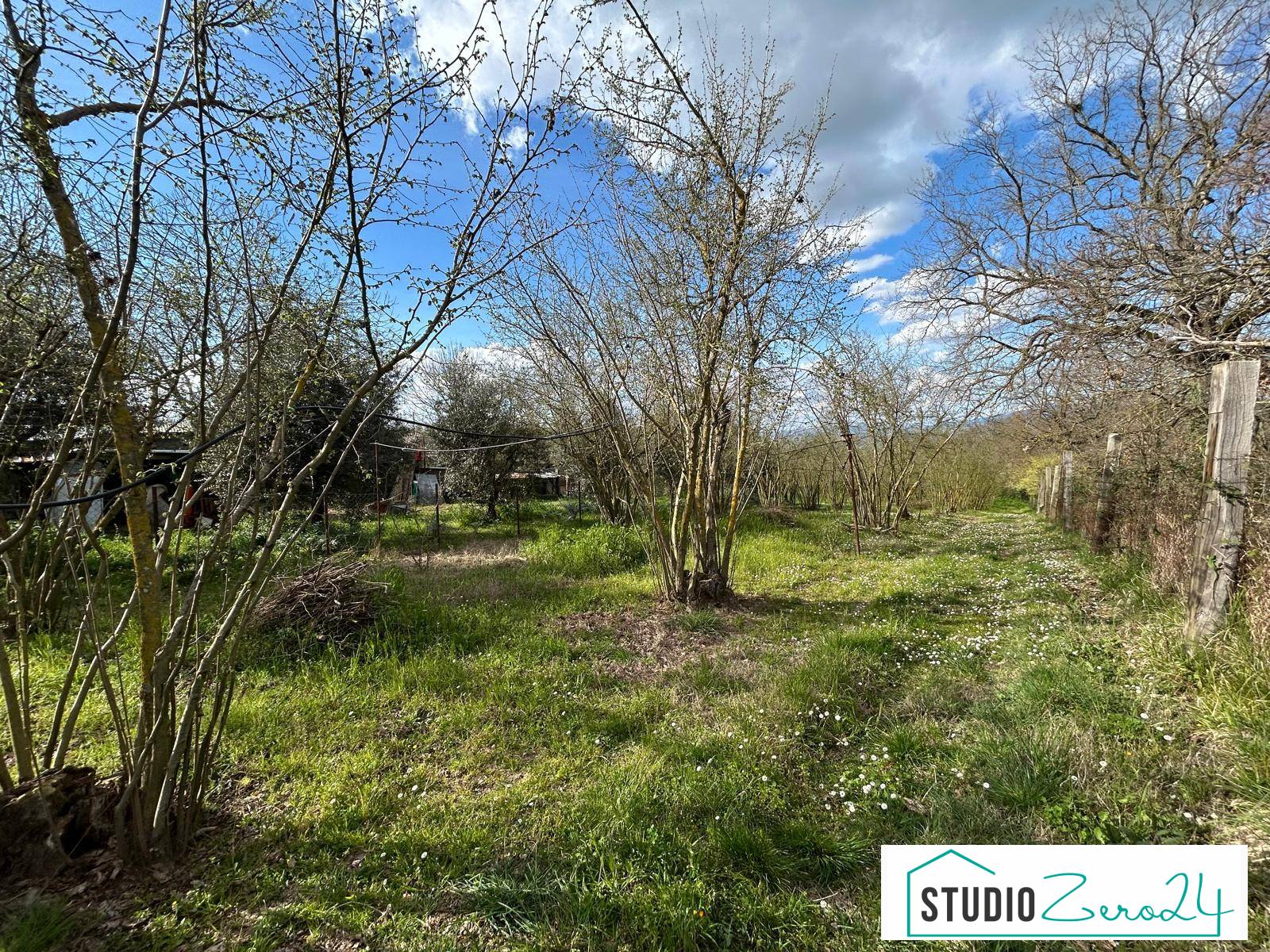 Agricultural Land for sale in Bassano in Teverina