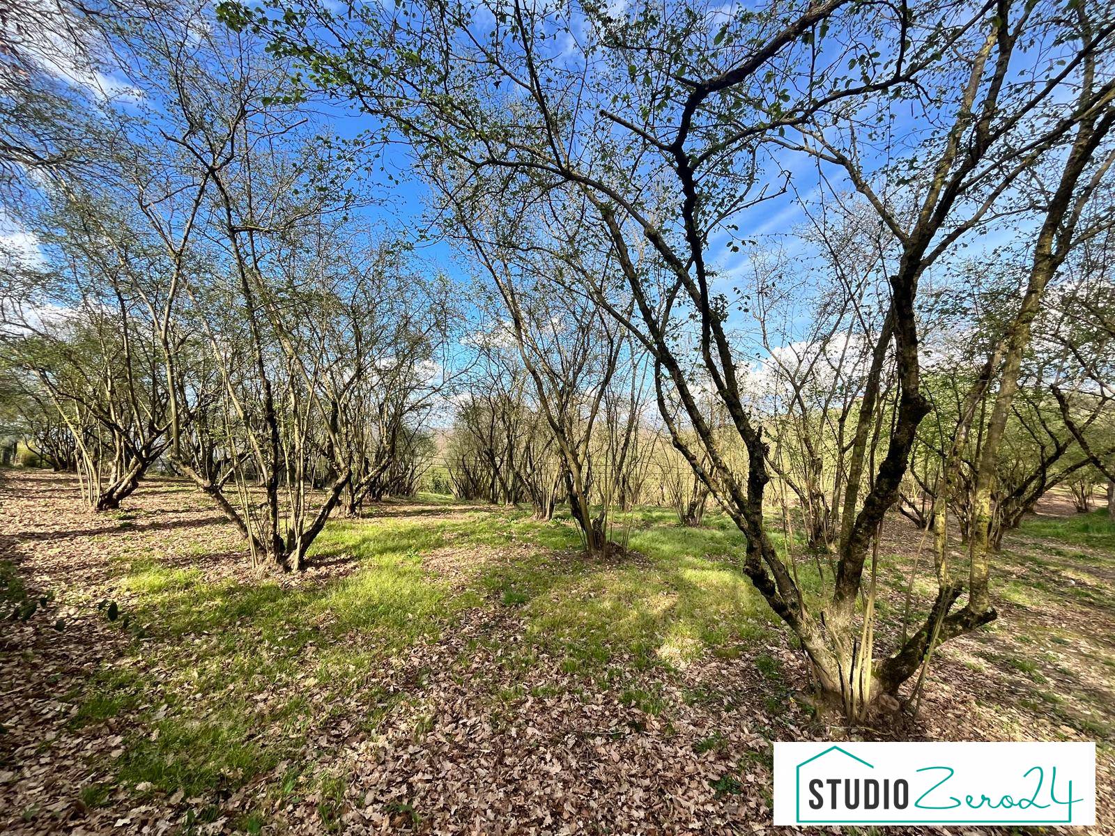 Agricultural Land for sale in Bassano in Teverina