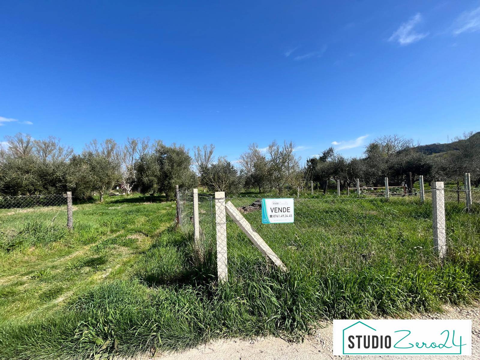 Agricultural Land for sale in Orte
