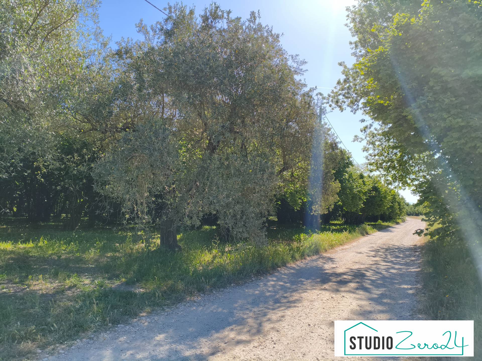 Agricultural Land for sale in Vignanello