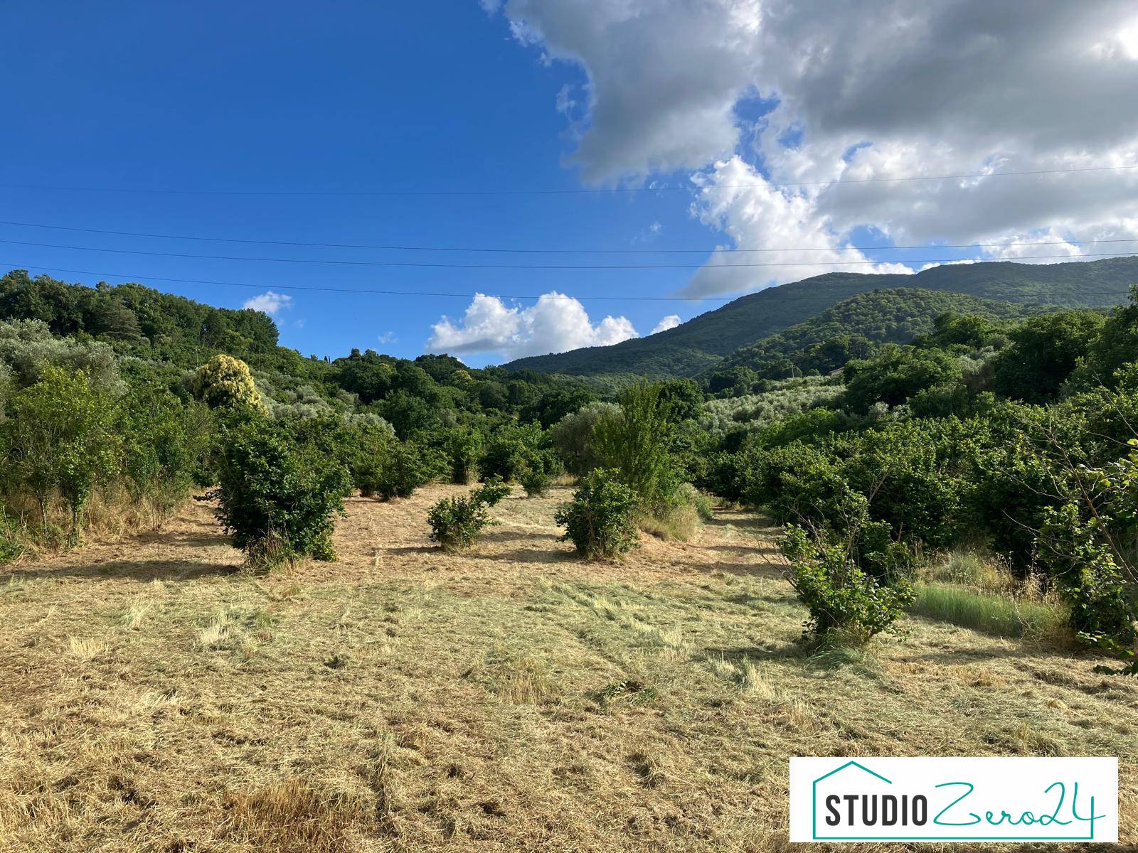 Terreno Agricolo in vendita a Soriano nel Cimino