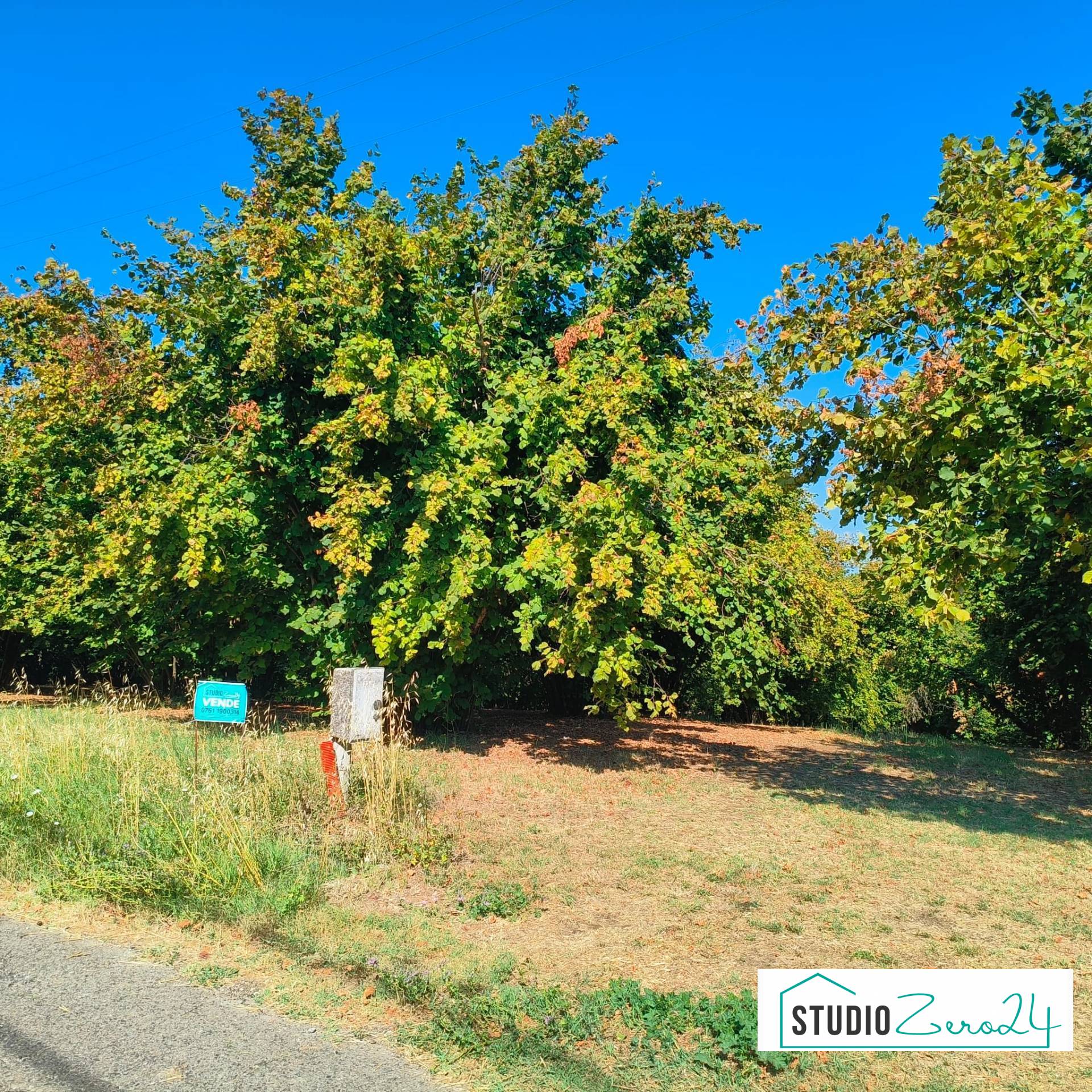 Terreno Agricolo in vendita a Soriano nel Cimino