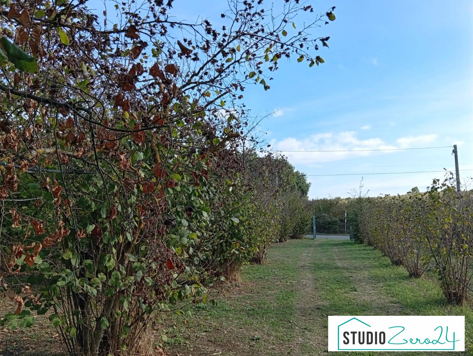 Agricultural Land for sale in Soriano nel Cimino