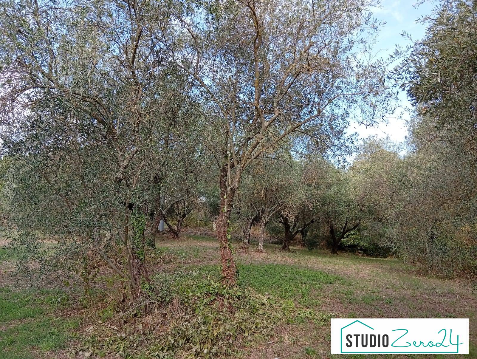 Agricultural Land for sale in Vignanello
